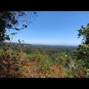 Meet your Posher, Bianca